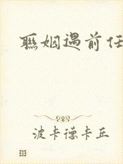 联姻遇前任小说