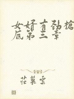 女婿有劲枪枪到底第三章