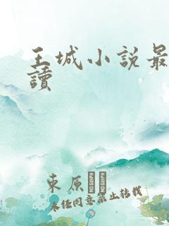 王城小说最近阅读