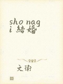 sho nagi 结婚