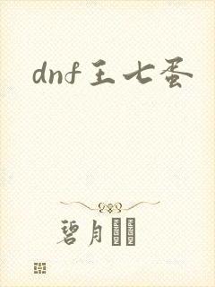 dnf王七蛋