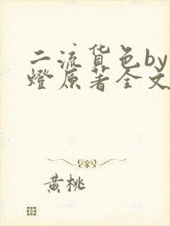 二流货色by尾灯原著全文阅读