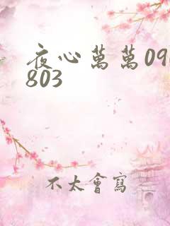 夜心万万090803