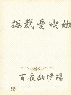 总裁爱吃嫩豆腐