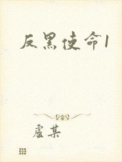 反黑使命1