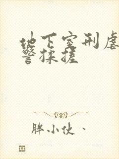 地下室刑虐女刑警揉搓