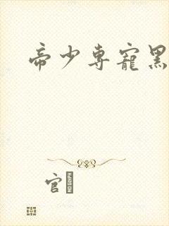 帝少专宠黑道妻