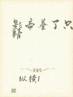 影帝养了只兰花精