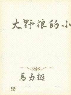 大野狼的小猫咪