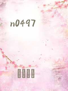 n0497