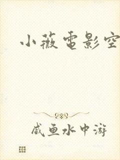 小薇电影空间