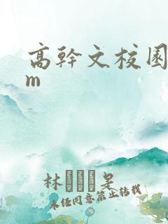 高干文校园bgm