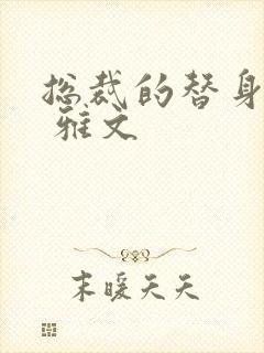 总裁的替身前妻 雅文