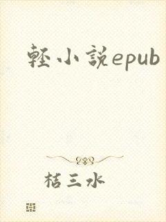 轻小说epub