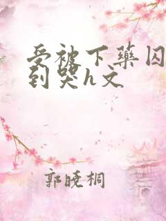 受被下药囚禁脔到哭h文