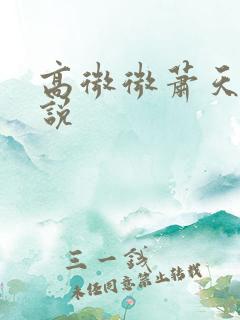 高微微萧天策小说