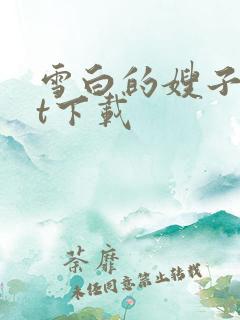 雪白的嫂子txt下载