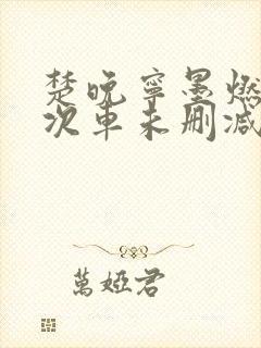 楚晚宁墨燃第一次车未删减