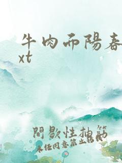 牛肉面阳春面txt