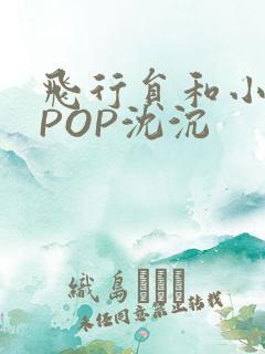 飞行员和小空乘POP沈沉