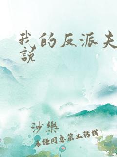 我的反派夫君小说