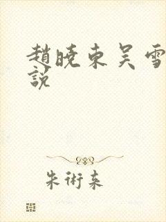 赵晓东吴雪晴小说