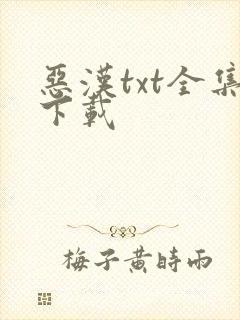 恶汉txt全集下载