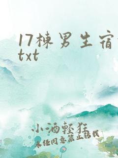 17栋男生宿舍txt