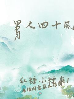 男人四十风花雪月