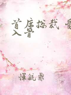 首席总裁 爱你入骨