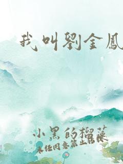 我叫刘金凤下架