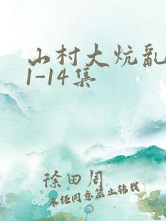 山村大炕乱肉续1-14集