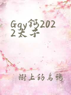 Ggy钙2022太子