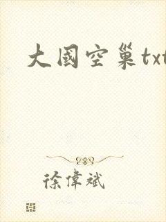 大国空巢txt