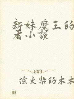 新妹魔王的契约者小说