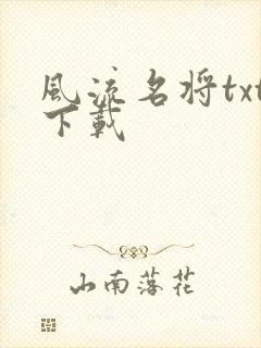 风流名将txt下载