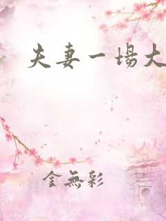 夫妻一场大结局