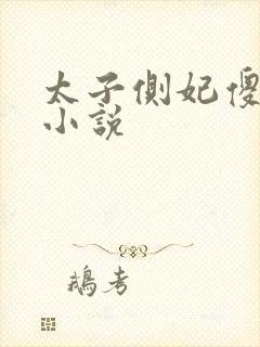 太子侧妃傻乎乎小说