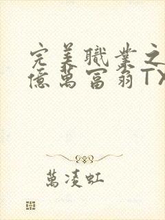 完美职业之我是亿万富翁TXT