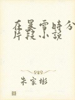 在暴雪时分高能片段小说