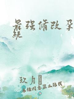 最强修改孕妇系统