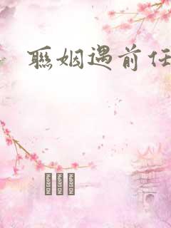 联姻遇前任小说