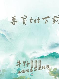 喜宝txt下载