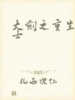 大剑之重生圣骑士