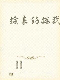 捡来的总裁儿子