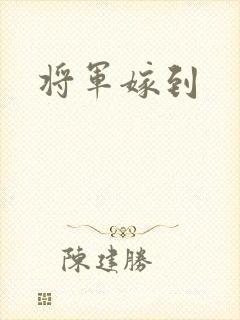 将军嫁到