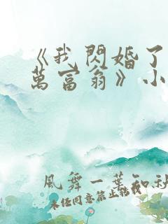 《我闪婚了个亿万富翁》小说