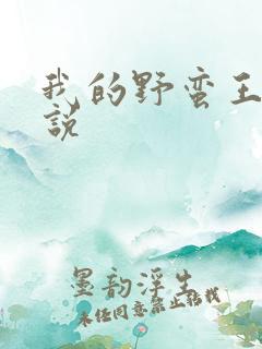 我的野蛮王妃小说