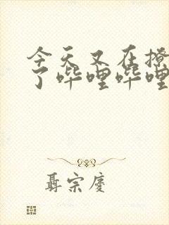 今天又在撩后妈了哔哩哔哩小说