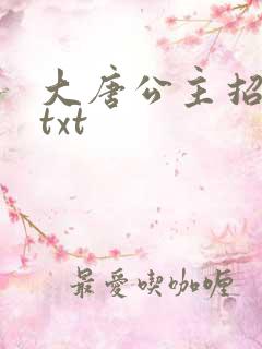 大唐公主招亲记txt